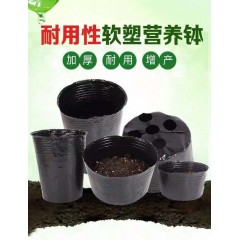加厚營養(yǎng)杯育苗杯塑料營養(yǎng)缽加厚育苗袋農用育苗盆一次性花盆種植