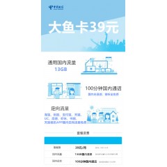 中國電信  大魚卡39元套餐【下訂單，中國郵政快遞包郵到家?！? width=