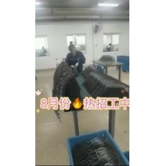 浙江江山電熱棒廠  長白班～兩班倒   男18-55，女18-50周歲