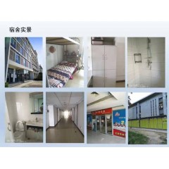 北京電子廠  招聘  女158以上，男165以上，年齡16-40歲