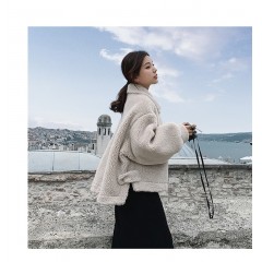 秋冬新款仿皮毛一體短款小個子羊羔毛外套女港風網(wǎng)紅百搭上衣