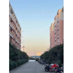 南京中電熊貓晶體  招聘：男18-35周歲，女18-40周歲。